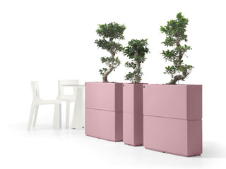 Dune fioriera