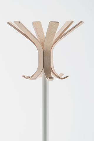 Ray