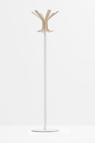 Ray