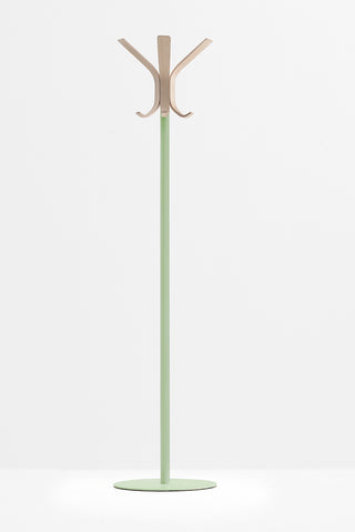 Ray