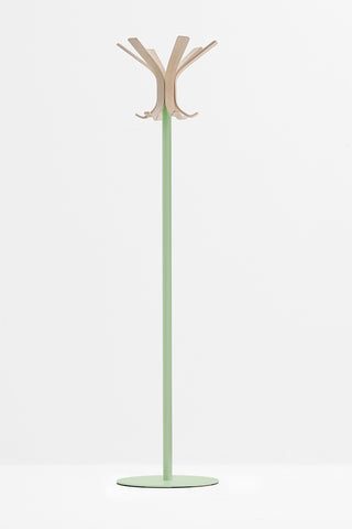 Ray