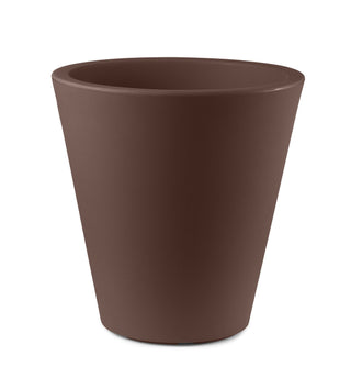 Loto vaso