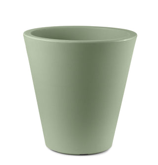 Loto vaso