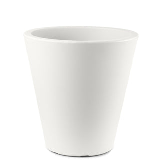 Loto vaso