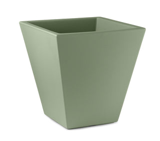 Loto vaso