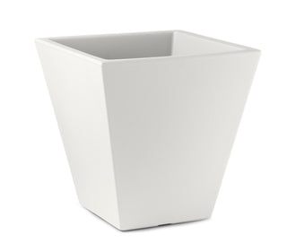 Loto vaso