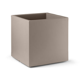 Loto vaso