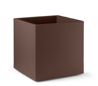 Loto vaso