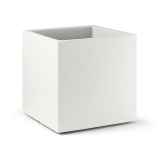 Loto vaso
