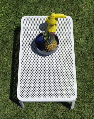Net Table 100